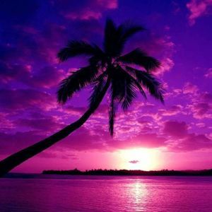 Meet your Posher, Nay